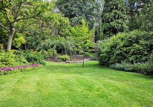 Optimiser l'expérience du jardin à Tournehem-sur-la-Hem
